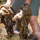 Image for article titled Unmuzzled Canadian Scientists Have Harsh Words for Conservative Regime